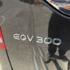 IMG_3479 EQV 300 extralong avantgarde 8 posti